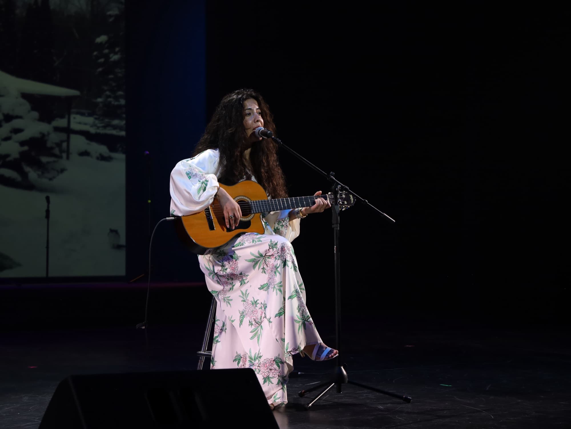 Gitar Performansı